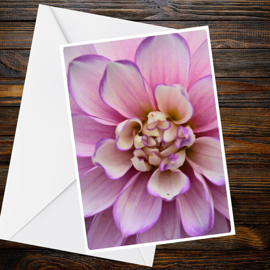 Dahlia Soft Blush Pink & Lilac Greeting Card - Summer Flower Collection