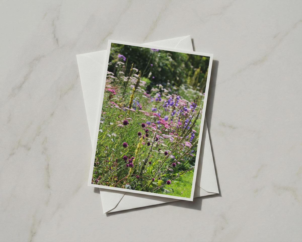 Wild Flower Garden Card, Purple Allium Cottage Border, Blank A6 Card with Envelope