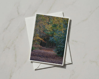 Autumn Forest Path Card, Woodland Trees Greeting Card, Fall Leaves Nature Card
