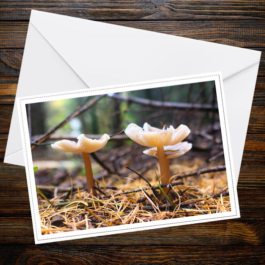 Bonnet mushroom Greeting Card | Woodland Fungi Nature Note Card | Botanical Wild Mushroom Gift for Foragers & Nature Enthusiasts