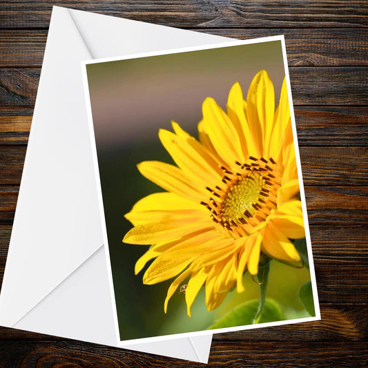 Yellow Rudbeckia Sunflower Card – A6 Nature Photo Greeting (UK Handmade)