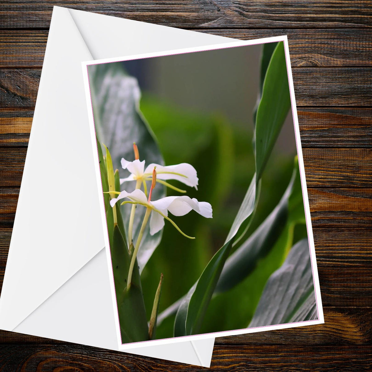 White Ginger Lily Photo A6 Greetings Card - Tropical Leaves | Inspired by Eden Collection