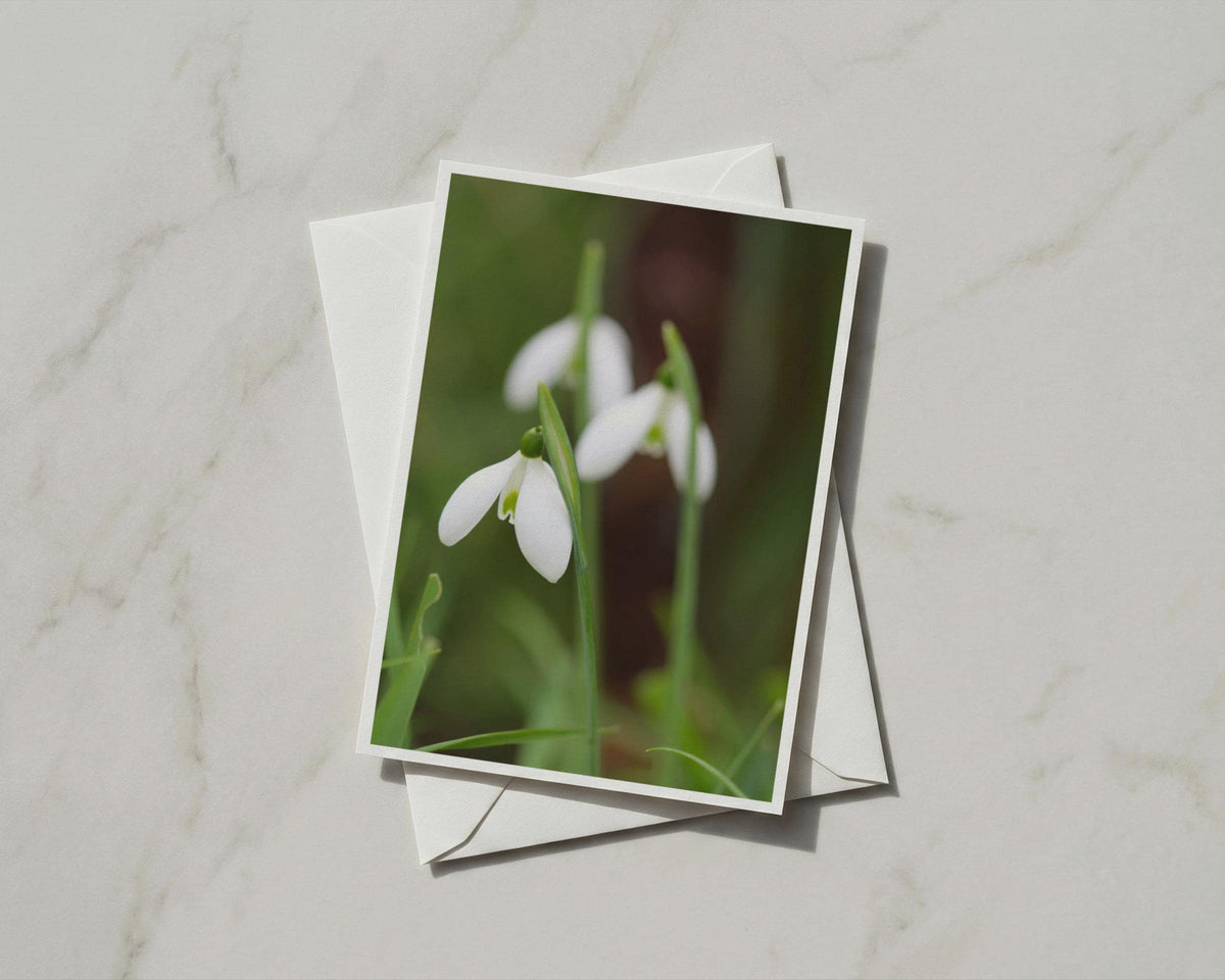Snowdrop Flower Card, White Spring Floral A6 Card, Botanical Nature Card with Envelope
