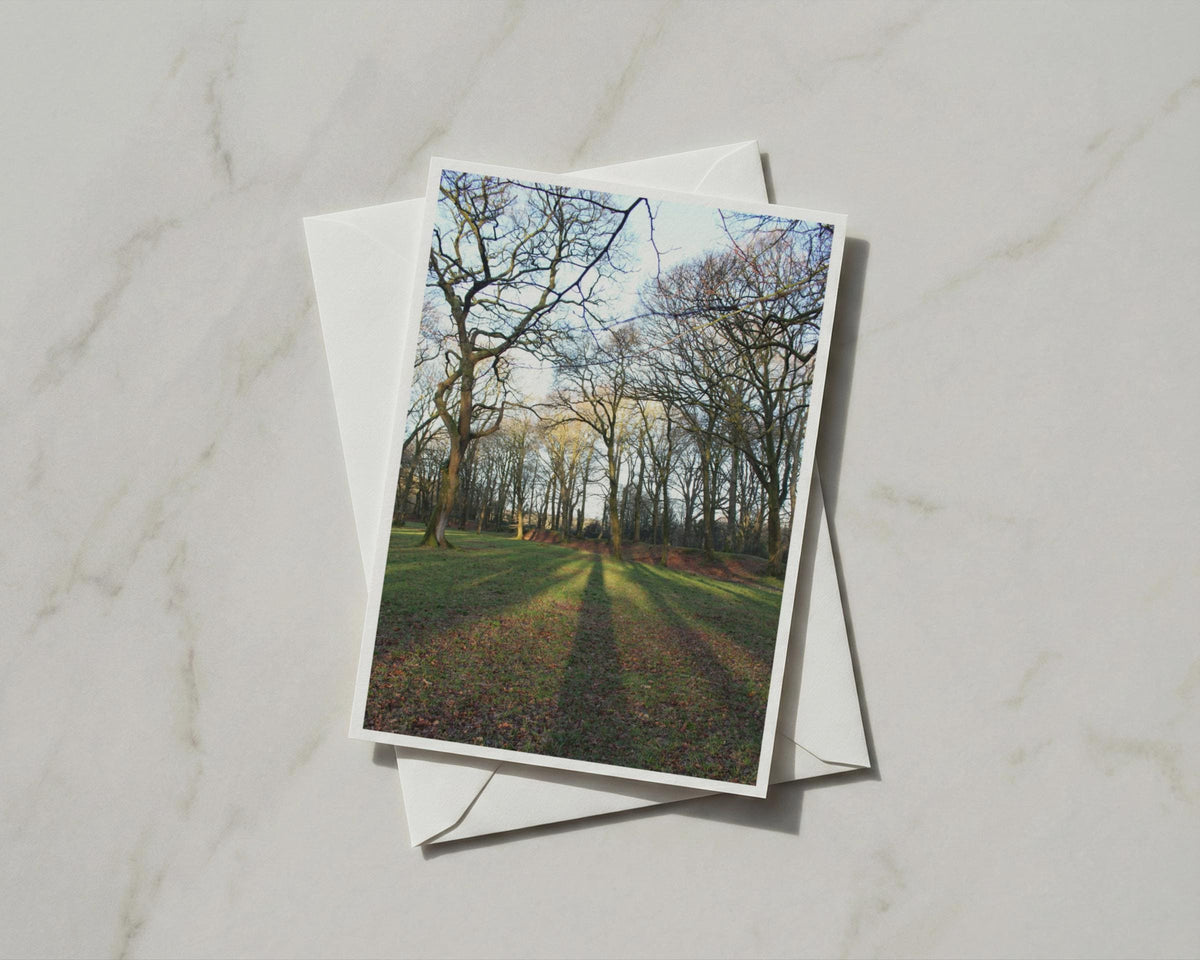 Winter Trees Greetings Card, Bare Woodland Shadow Nature Photography A6 Card