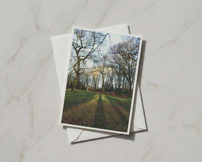 Winter Trees Greetings Card, Bare Woodland Shadow Nature Photography A6 Card