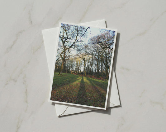Winter Trees Greetings Card, Bare Woodland Shadow Nature Photography A6 Card