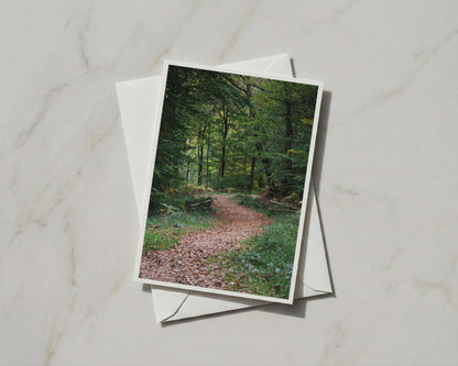 Autumn Forest Path Card, Woodland Walk Nature Photography, A6 Greeting Card