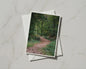 Autumn Forest Path Card, Woodland Walk Nature Photography, A6 Greeting Card