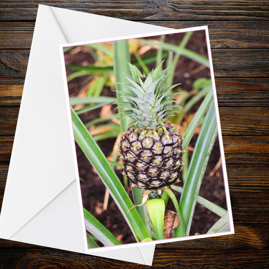 Pineapple Close-Up A6 Greetings Card - Inspired by Eden Collection (Eden Project)
