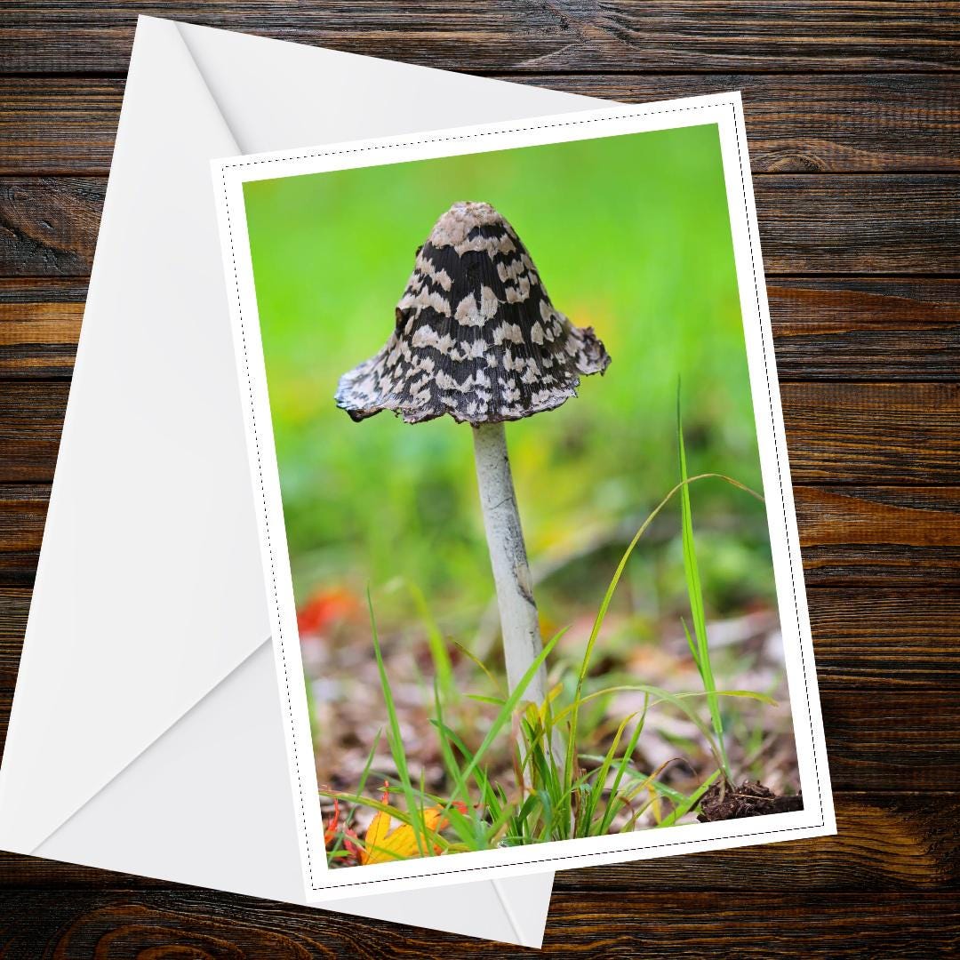 Magpie Inkcap Fungi Greeting Card, Woodland Mushroom Nature Card, Botanical Forest Illustration, All Occasion Handmade FSC Certified Card