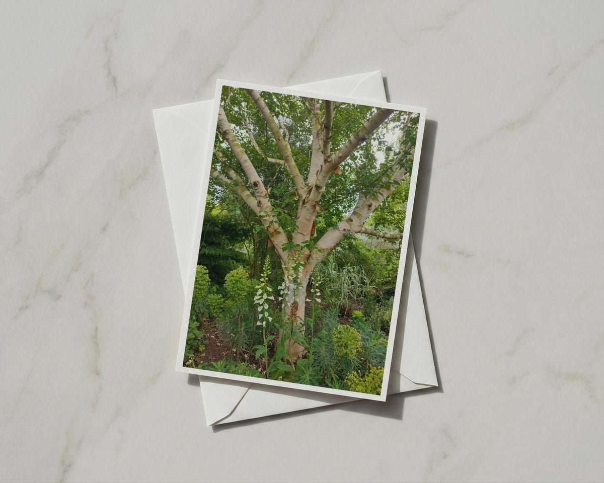 Silver Birch Tree Card, White Foxglove Garden, Botanical Nature A6 Greeting Card