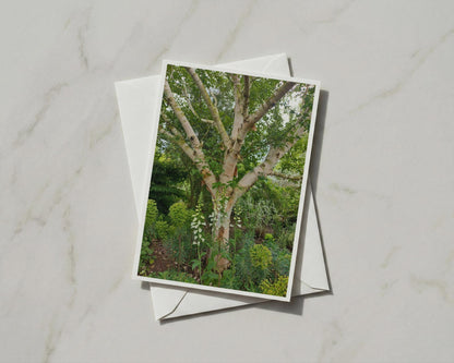 Silver Birch Tree Card, White Foxglove Garden, Botanical Nature A6 Greeting Card