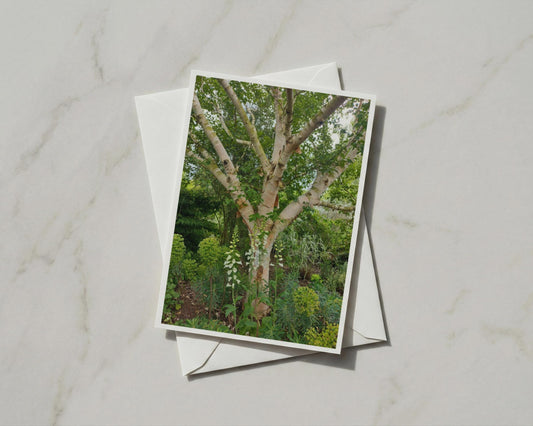 Silver Birch Tree Card, White Foxglove Garden, Botanical Nature A6 Greeting Card