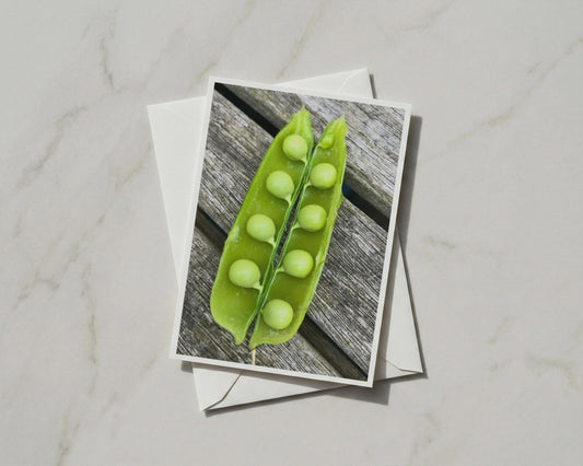 Pea Pod Card, Fresh Green Vegetable Garden Photo, Blank A6 Card with Envelope