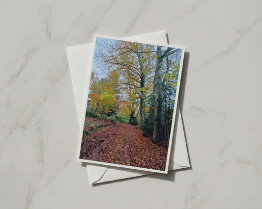 Autumn Forest Path Card, Woodland Trees Greeting Card, Fall Leaves Nature Card