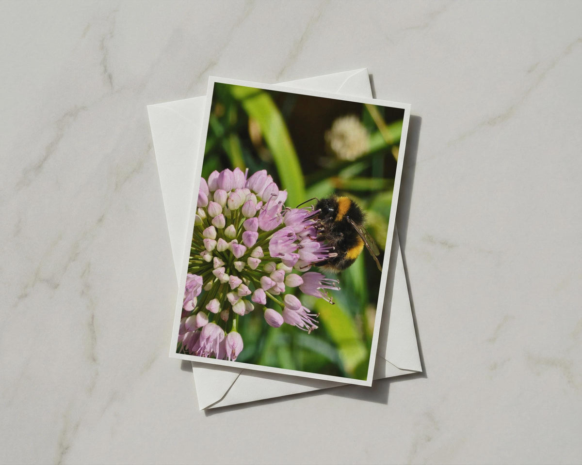 Bumblebee on Allium Card, Wildlife Nature Photography, Garden Bee Greeting Card