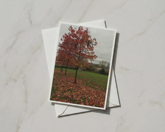 Autumn Tree Card, Red Fallen Leaves, English Garden, Seasonal Nature A6 Greeting Card