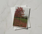 Autumn Tree Card, Red Fallen Leaves, English Garden, Seasonal Nature A6 Greeting Card