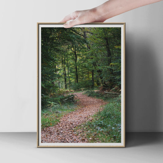 Autumn Forest Path Poster, Woodland Walk Photography Print, Fallen Leaves Nature Wall Art, Green Brown Trees Portrait Photo