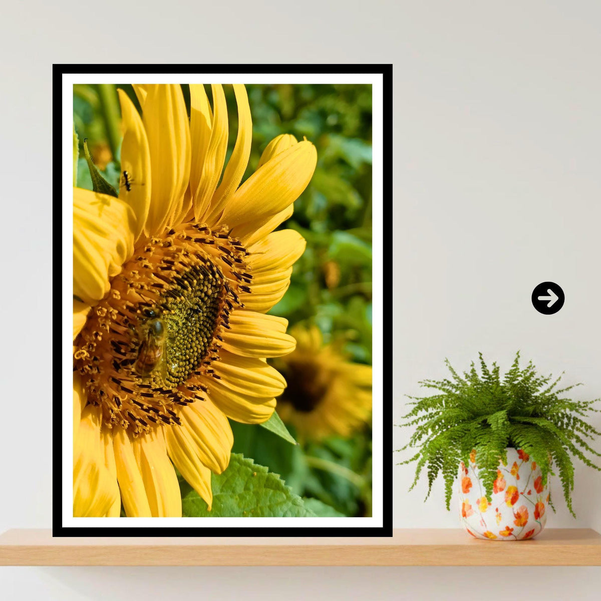 Sunflower Macro Print | Yellow Botanical Fine Art Nature Photography