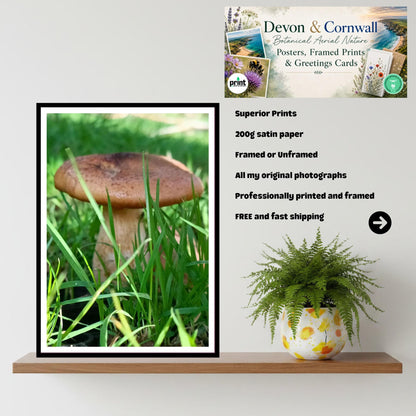 King Bolete Fungi Print Art, Mushroom Nature Photography, Woodland Decor, Botanical and Fungi Collection, FSC Certified Archival Poster