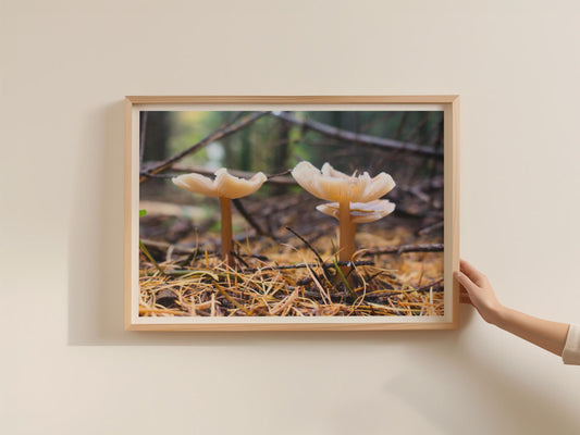 Fungi Forest Floor Poster, Woodland Mushroom Framed-Print, Nature Photography Wall Art, Cream Toadstool Print, Botanical Home Decor Gift