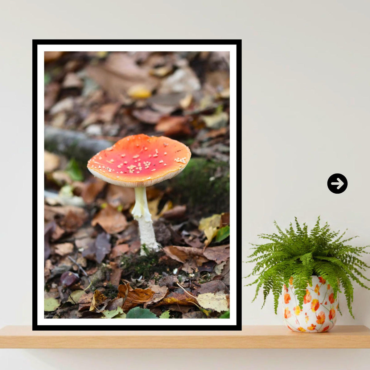 Fly Agaric Fungi Print Art, Mushroom Nature Photography, Woodland Decor, Archival Botanical Poster, Fairy Tale Inspired Fungi Wall Art