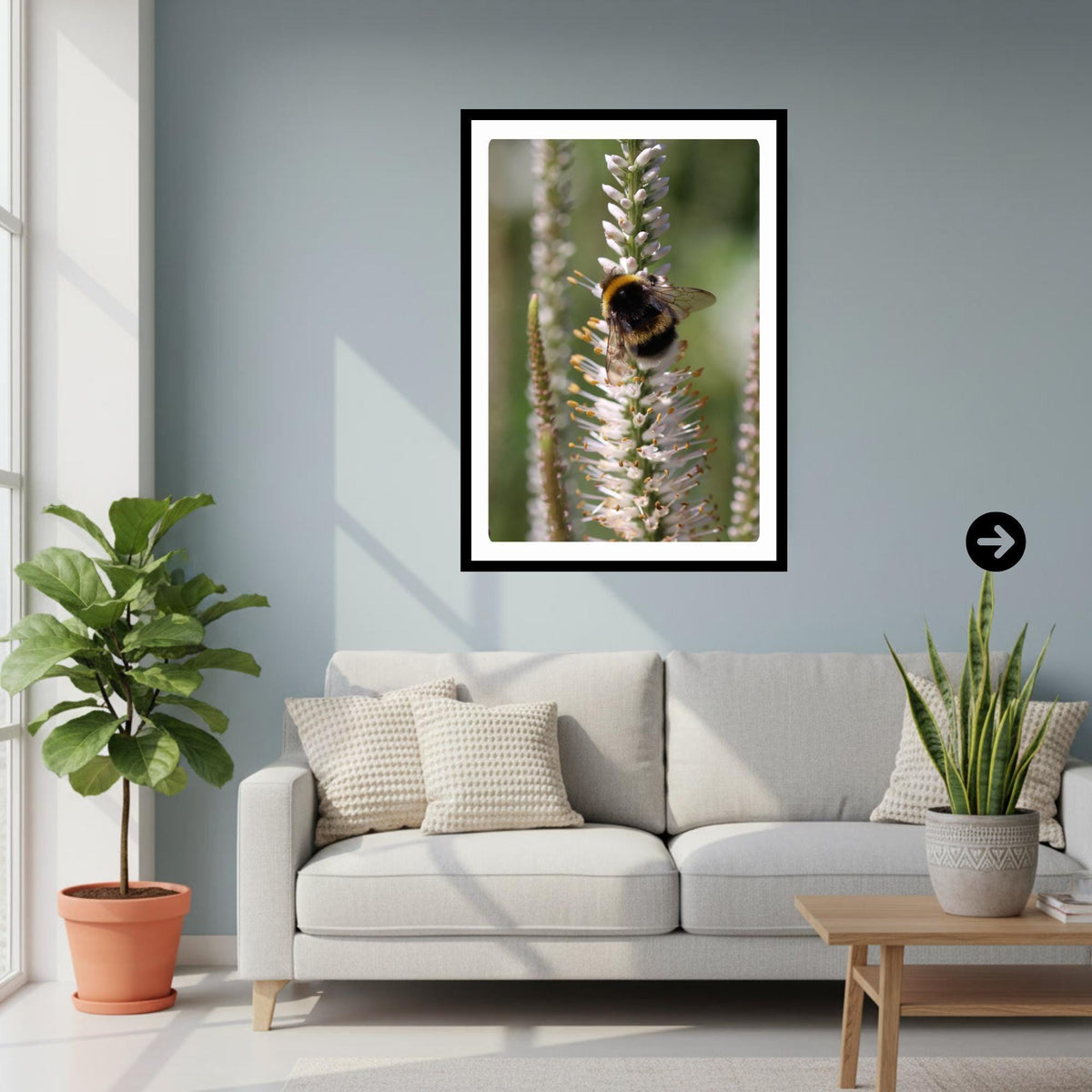 Macro Bumblebee Photography Print | White Botanical Nature Wall Art