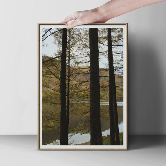 Autumn Forest Lake Poster, Trees and Mountain Landscape Print, Woodland Nature Photography, Scottish Highland Wall Art, Moody Nature Decor