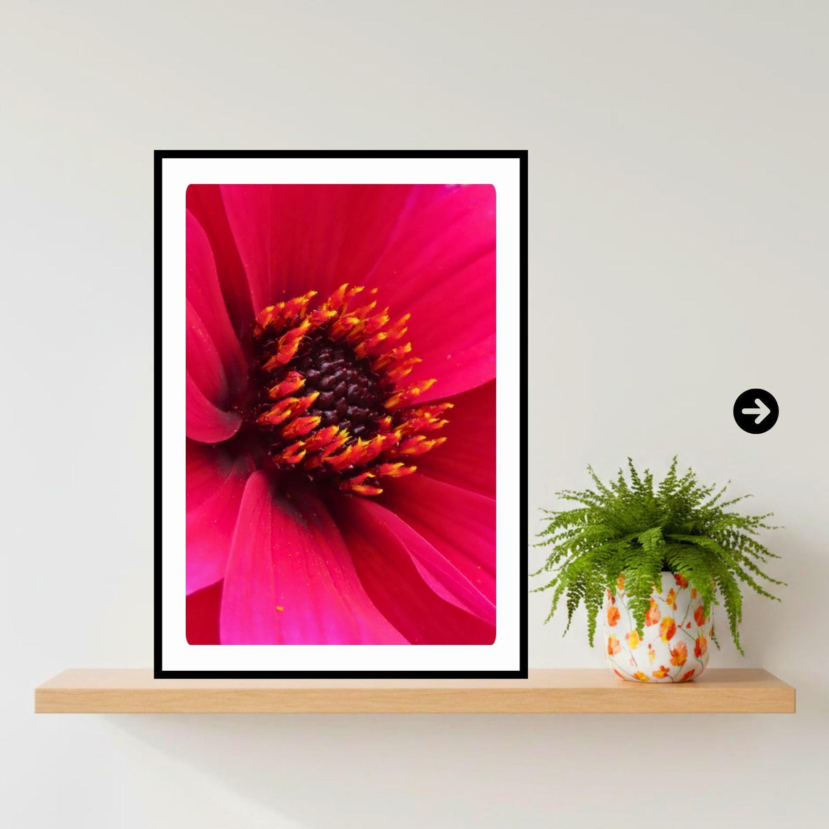 Deep Pink Dahlia Macro Print, Vibrant Floral Wall Art, Botanical Nature Decor