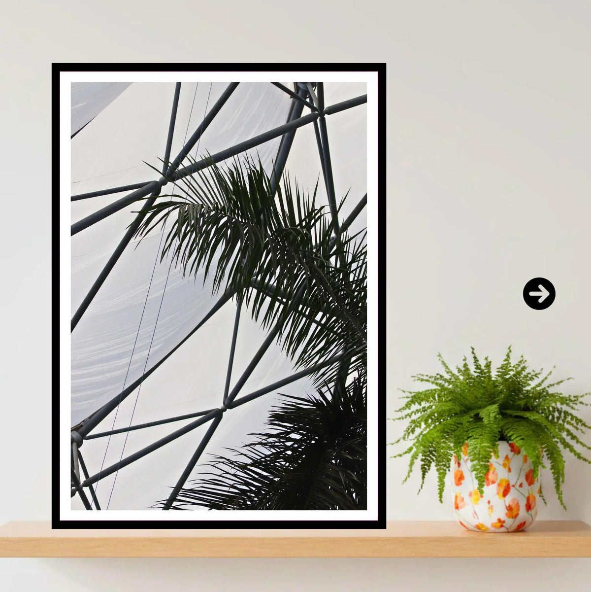 Palm Fronds & Biome Structure — Eden Project Cornwall Wall Art Photography Print