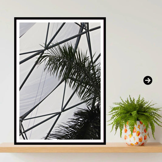 Palm Fronds & Biome Structure — Eden Project Cornwall Wall Art Photography Print