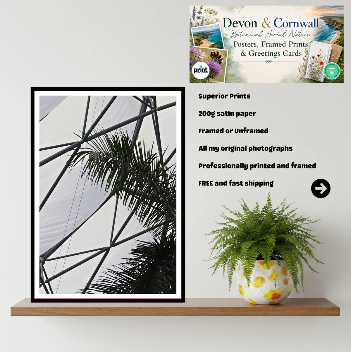 Palm Fronds & Biome Structure — Eden Project Cornwall Wall Art Photography Print