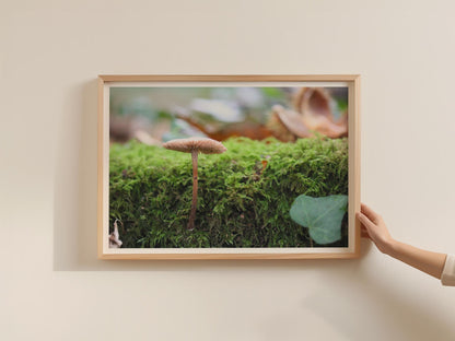 Fungi Mushroom Poster, Woodland Wall Art, Nature Photography Framed-Print, Moss Forest Botanical, Autumn Decor, Earthy Green Brown Print