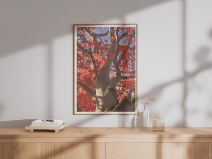 Autumn Maple Tree Poster - image 4
