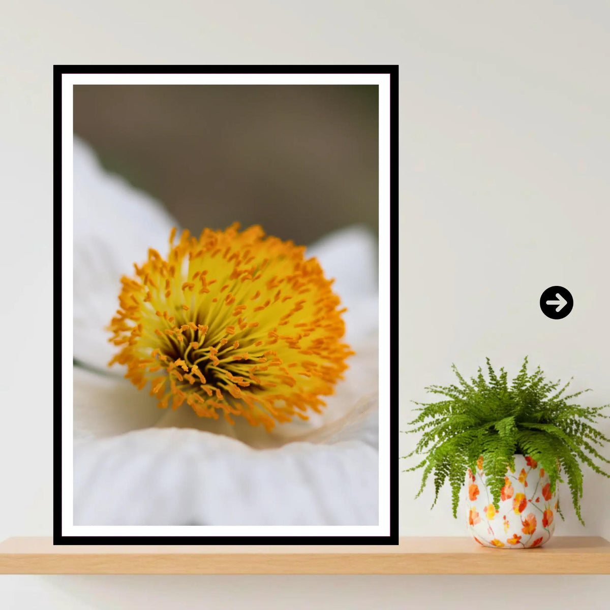 Macro yellow flower close-up | Eden Project Cornwall Wall Art Photography Print