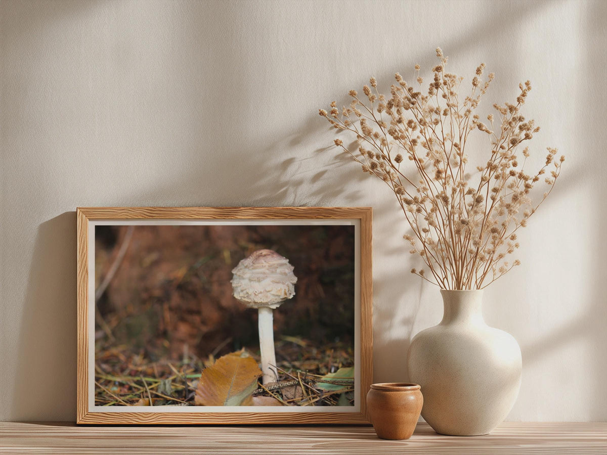 Fungi Mushroom Poster mockup - Neutral_Mockup_Studio_509