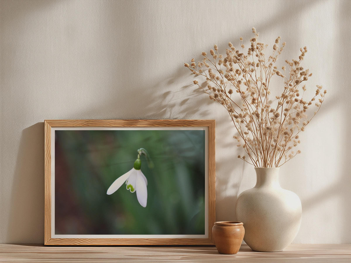 Snowdrop Flower Poster, White Spring Botanical Framed-Print, Macro Nature Photography, Green Garden Wall Art, Minimalist Floral Home Decor