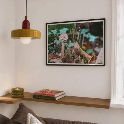 Parasol Mushroom Fungi Poster mockup - Corner Bedroom Mockup - Landscape
