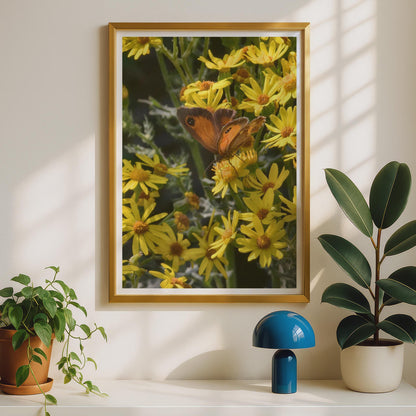 Gatekeeper Butterfly on Ragwort Poster - image 2
