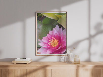 Pink Water Lily Poster, Lotus Flower Wall Art, Botanical Close Up Print, Floral Photography, Garden Pond Decor, Magenta Yellow Flower