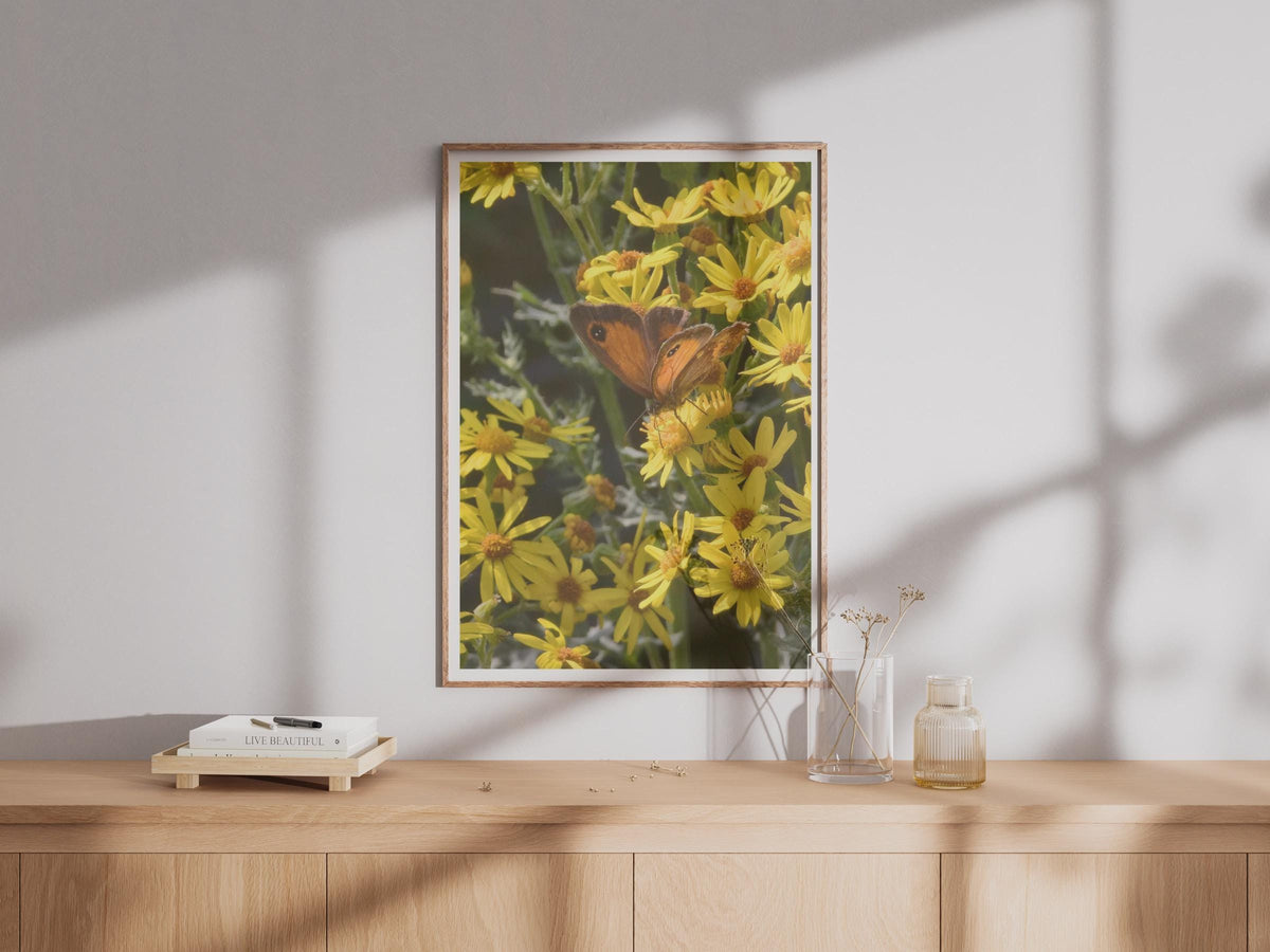 Gatekeeper Butterfly on Ragwort Poster - image 4
