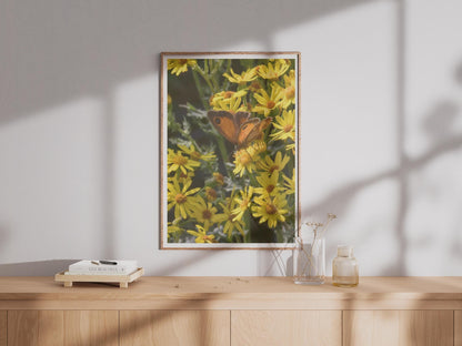 Gatekeeper Butterfly on Ragwort Poster - image 4