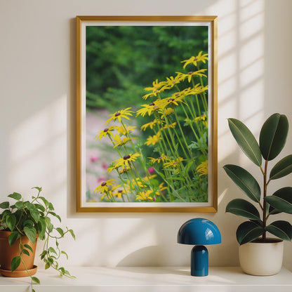 Black Eyed Susan Flower Poster, Yellow Rudbeckia Print, Summer Garden Wall Art, Wildflower Photography, Botanical Floral Home Decor