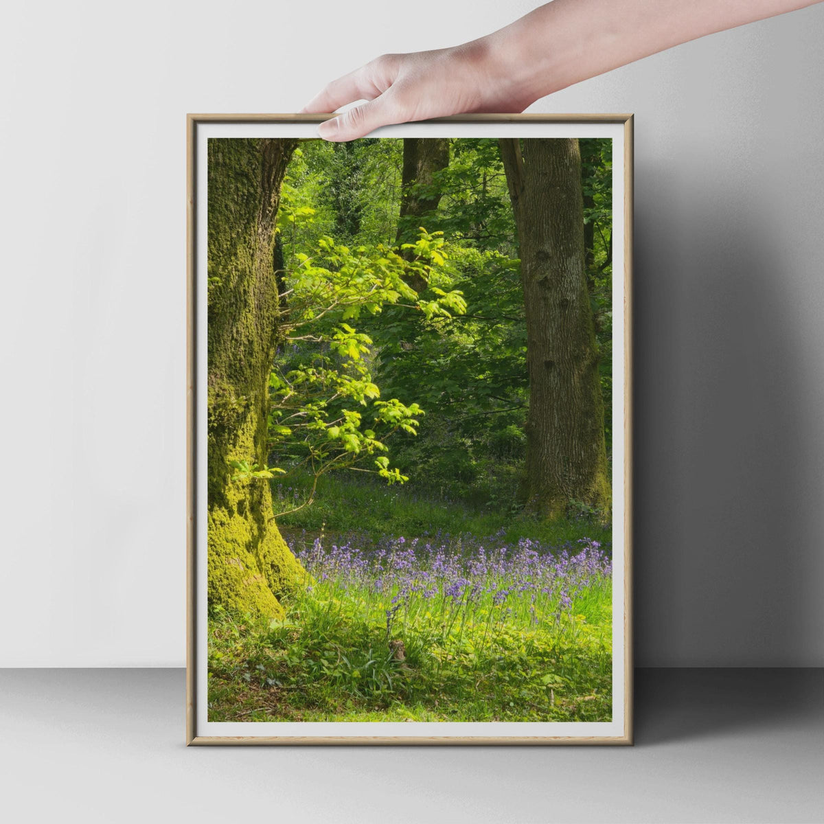 Bluebell Wood Photography Print, Spring Forest Poster, British Woodland Wall Art, Green Nature Photo, Wildflower Trees Home Decor