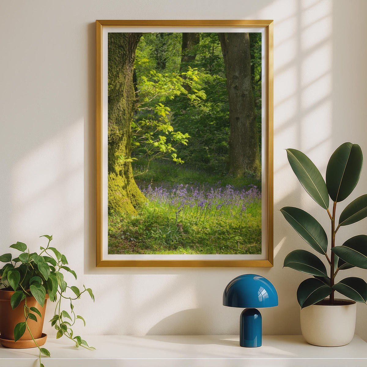 Bluebell Wood Photography Print - image 2