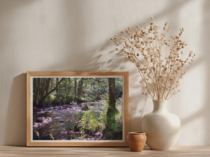 Woodland Stream Poster - image 3