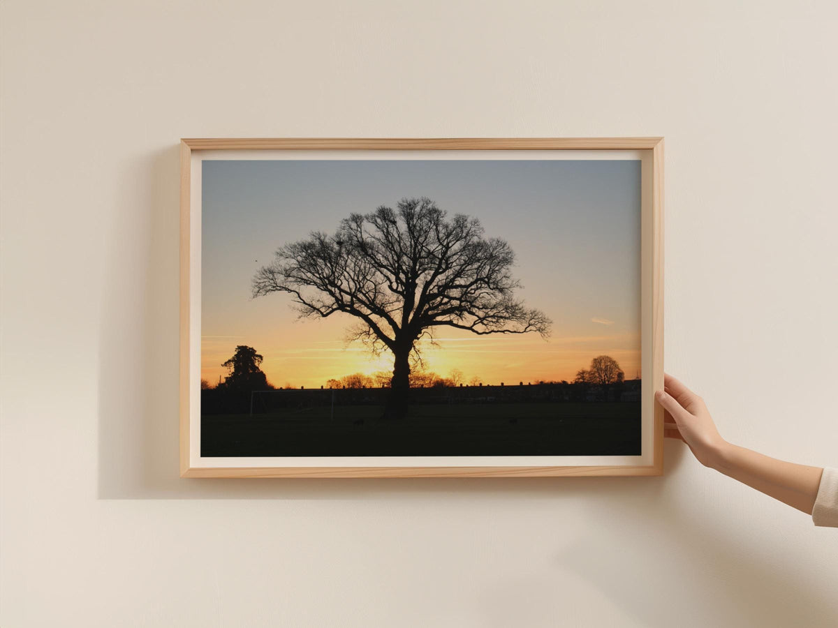 Oak Tree Sunset Silhouette Poster, Winter Landscape Framed-Print, Golden Sky Wall Art, Nature Photography Print for Living Room Decor