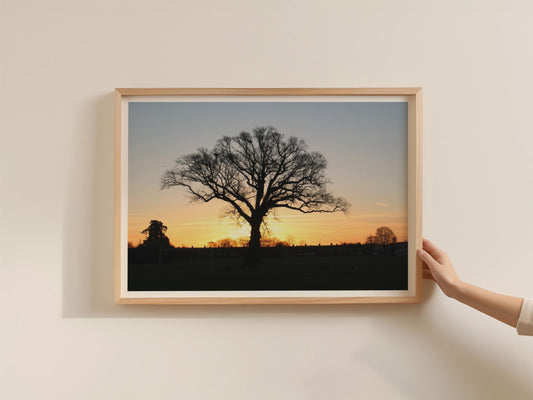 Oak Tree Sunset Silhouette Poster, Winter Landscape Framed-Print, Golden Sky Wall Art, Nature Photography Print for Living Room Decor
