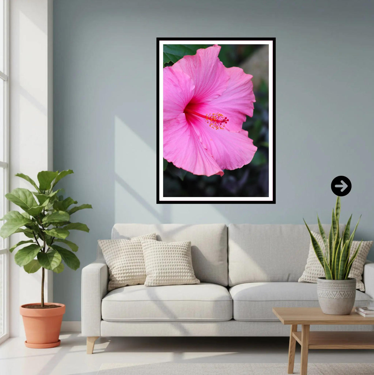 Pink Hibiscus Close-Up — Eden Project Cornwall Wall Art Photography Print